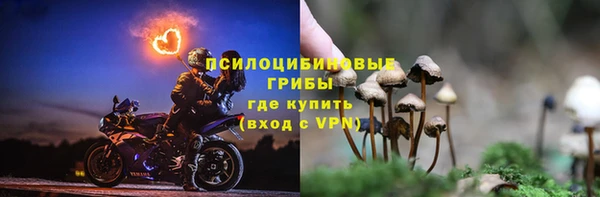 кокс Абаза