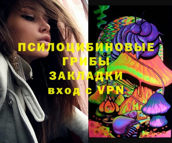ГАЛЛЮЦИНОГЕННЫЕ ГРИБЫ Алзамай