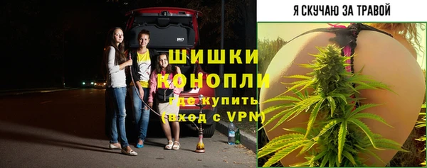 ГАЛЛЮЦИНОГЕННЫЕ ГРИБЫ Алзамай