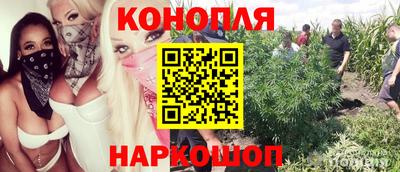ГАЛЛЮЦИНОГЕННЫЕ ГРИБЫ Волжский