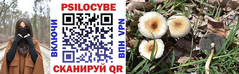Псилоцибиновые грибы Psilocybine cubensis  закладка  Моздок 
