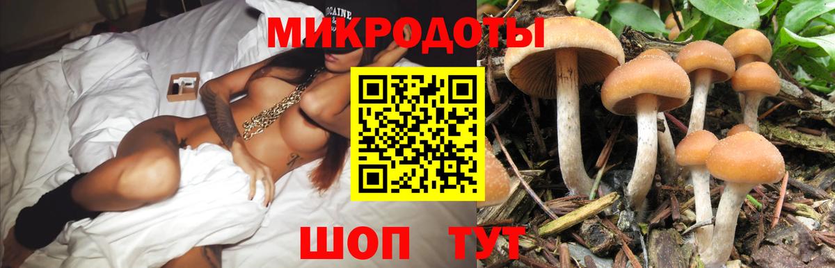 Моздок  как найти   Вход с VPN  Псилоцибиновые грибы Cubensis 
