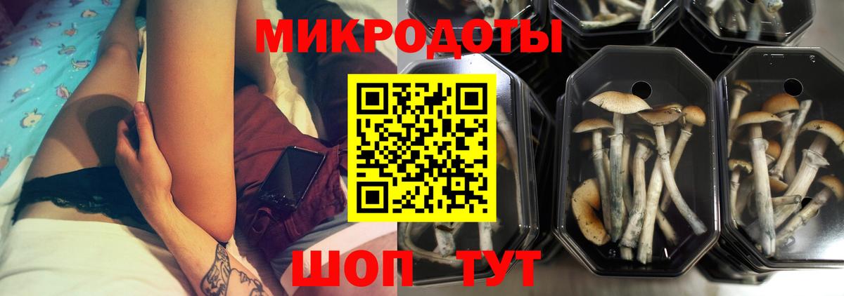 Псилоцибиновые грибы Magic Shrooms Моздок