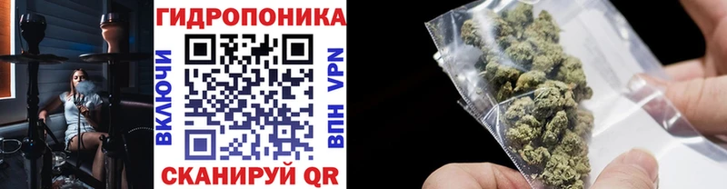 Бошки марихуана THC 21%  Моздок 